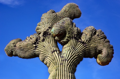 Tuscon, AZ.